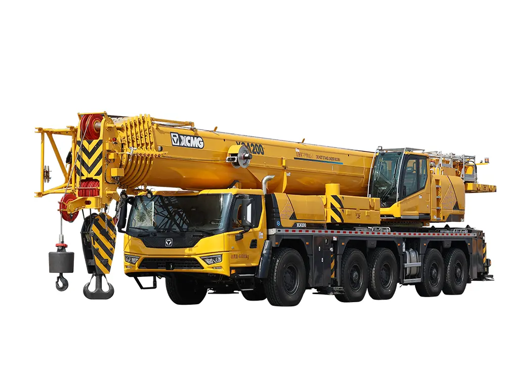 Omnes locorum grues