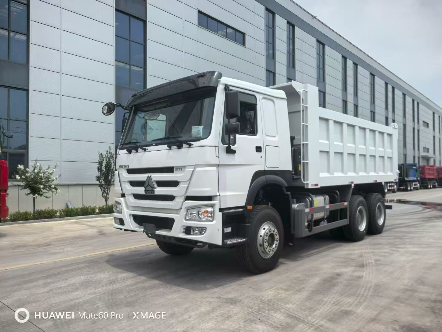 Synotruk howo trucks